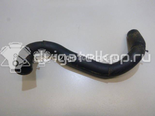 Фото Патрубок радиатора  MN135045 для Mitsubishi L {forloop.counter}}