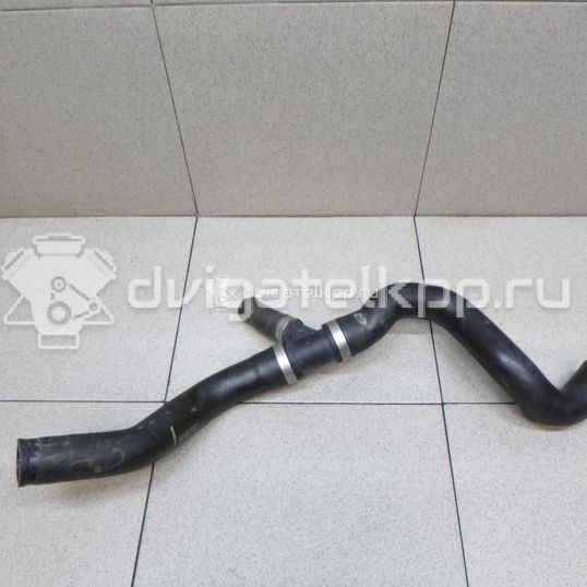 Фото Патрубок радиатора  1375346 для Ford Kuga