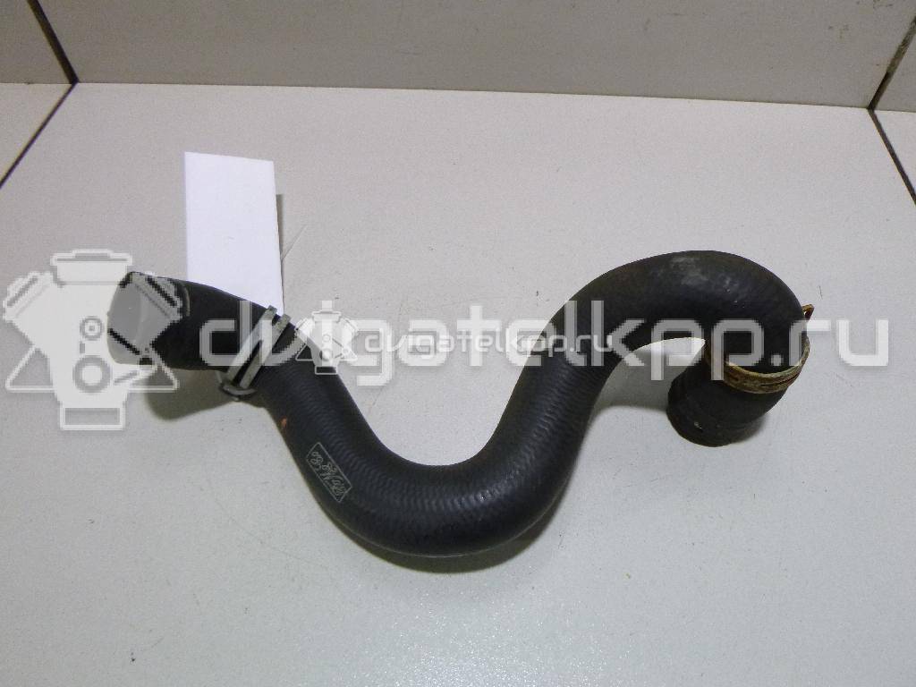 Фото Патрубок радиатора  3M5H8286BJ для Ford Focus {forloop.counter}}