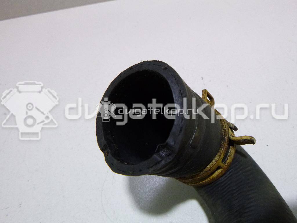 Фото Патрубок радиатора  3M5H8286BJ для Ford Focus {forloop.counter}}