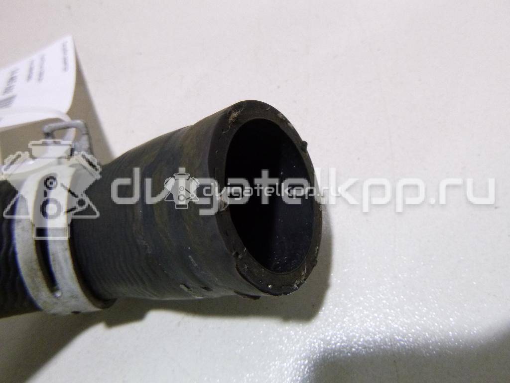 Фото Патрубок радиатора  3M5H8286BJ для Ford Focus {forloop.counter}}