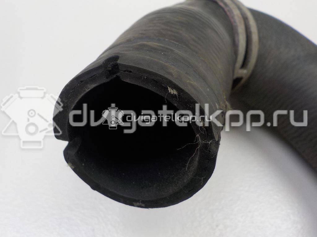 Фото Патрубок радиатора  1384148 для Ford Focus / C-Max {forloop.counter}}