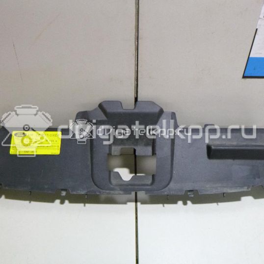 Фото Кожух замка капота  1212559 для Ford Focus