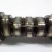 Фото Распредвал  14110R60U00 для honda Accord VIII {forloop.counter}}