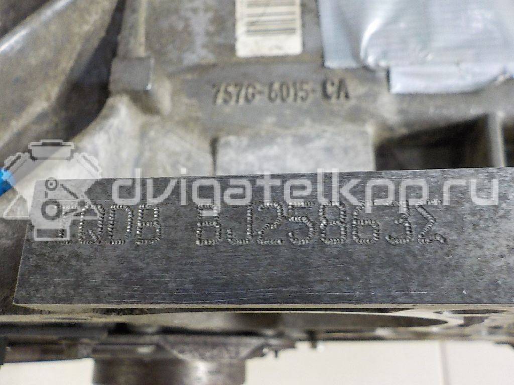 Фото Контрактный (б/у) двигатель PNDA для Ford / Ford Australia 125 л.с 16V 1.6 л бензин 1752082 {forloop.counter}}