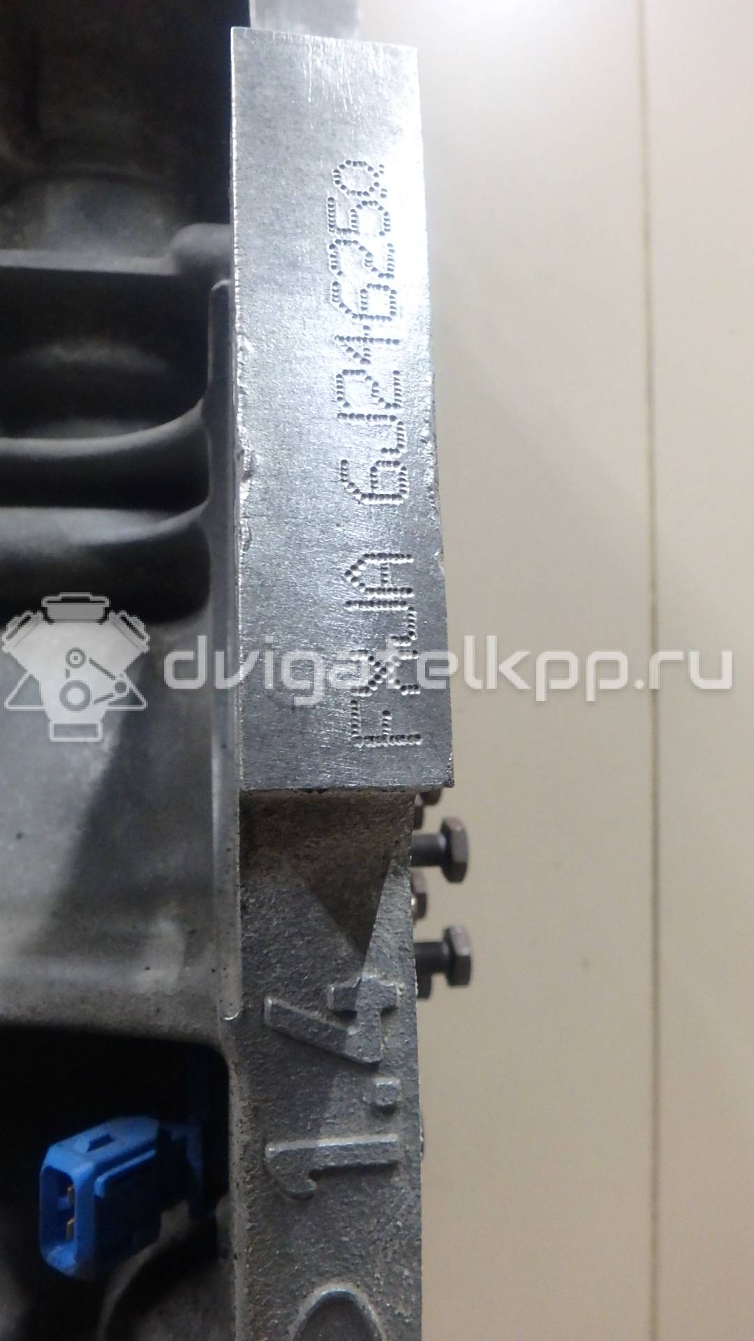 Фото Контрактный (б/у) двигатель FXJB для Ford Fiesta 80 л.с 16V 1.4 л бензин 1734722 {forloop.counter}}
