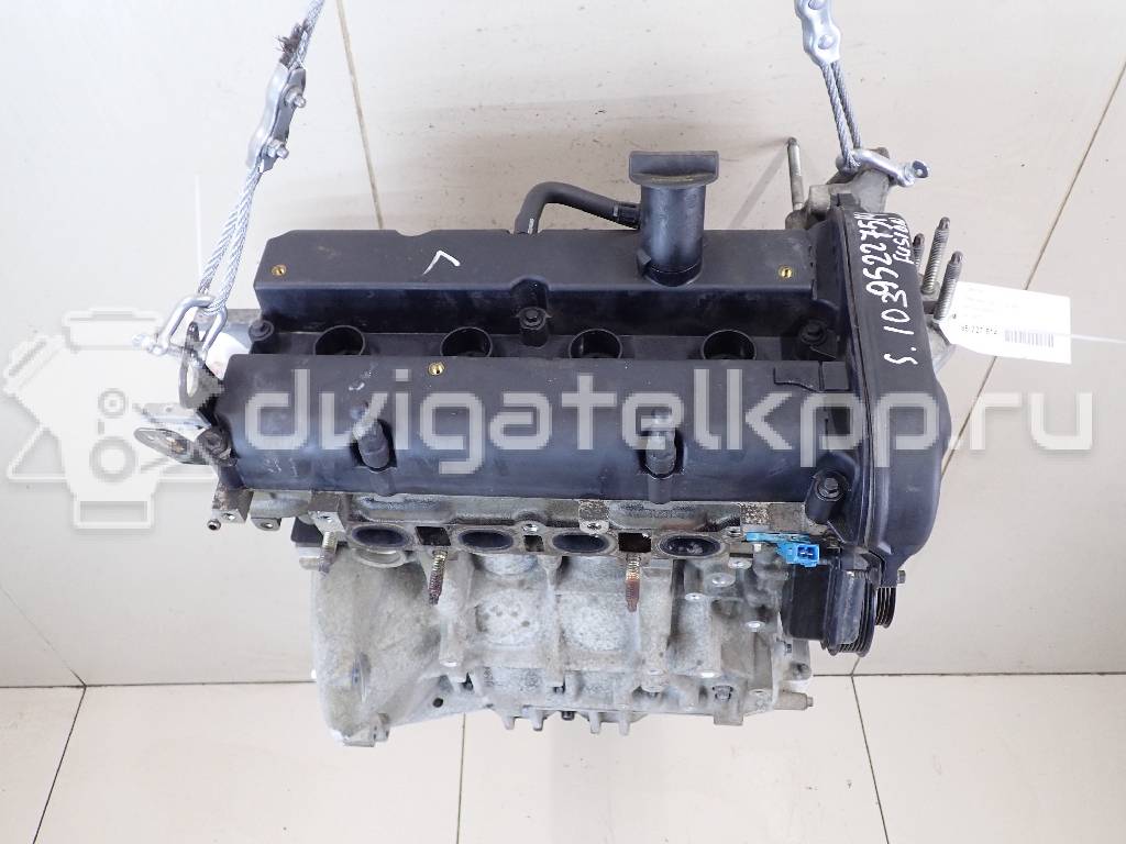 Фото Контрактный (б/у) двигатель FXJB для Ford Fiesta 80 л.с 16V 1.4 л бензин 9A6G6006-JB {forloop.counter}}