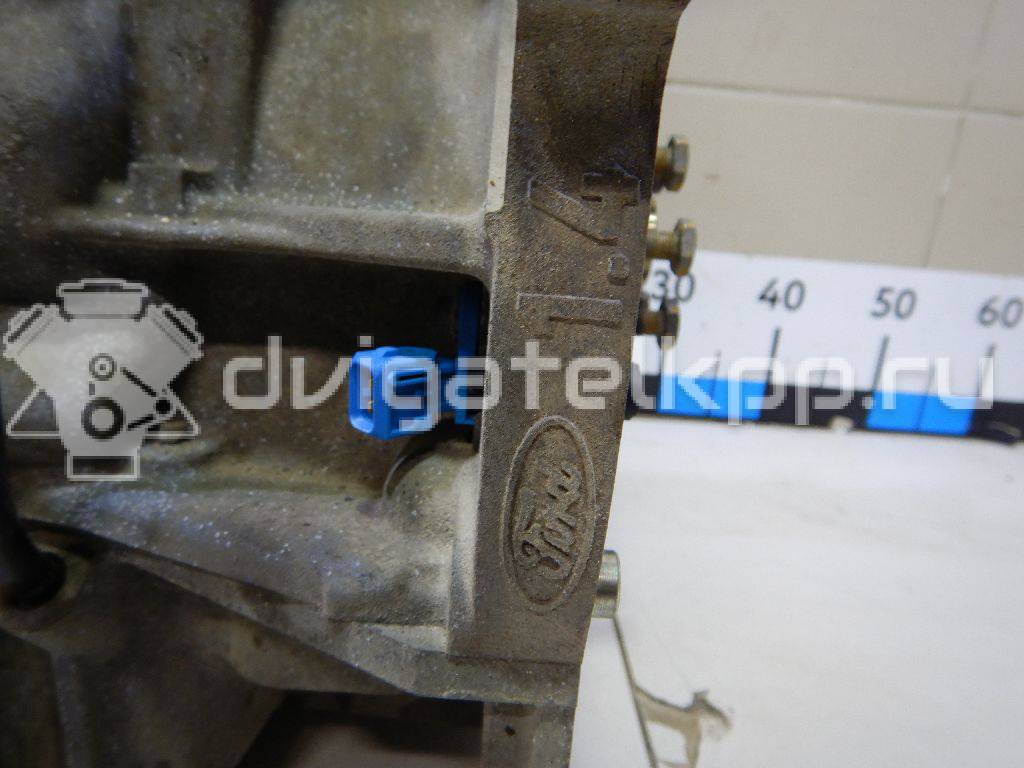 Фото Контрактный (б/у) двигатель XMJA для Ford Fiesta 65 л.с 12V 1.0 л бензин 1734722 {forloop.counter}}