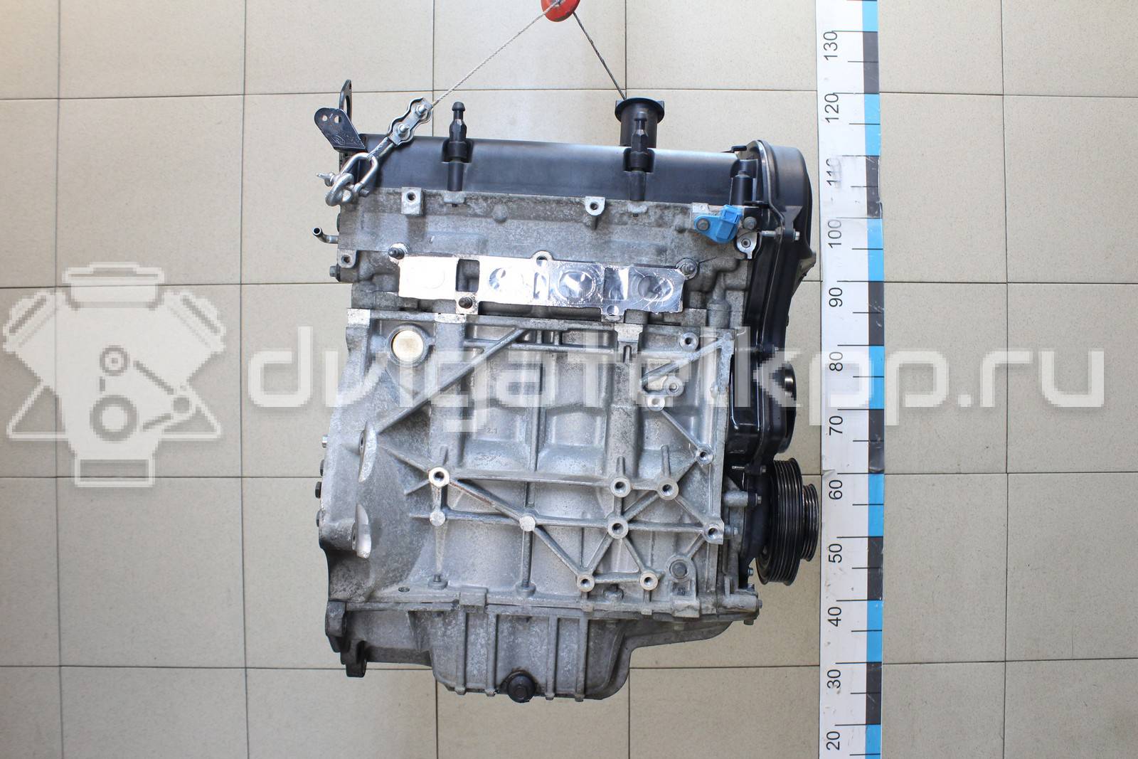 Фото Контрактный (б/у) двигатель FXJB для Ford Fiesta 80 л.с 16V 1.4 л бензин 1734722 {forloop.counter}}