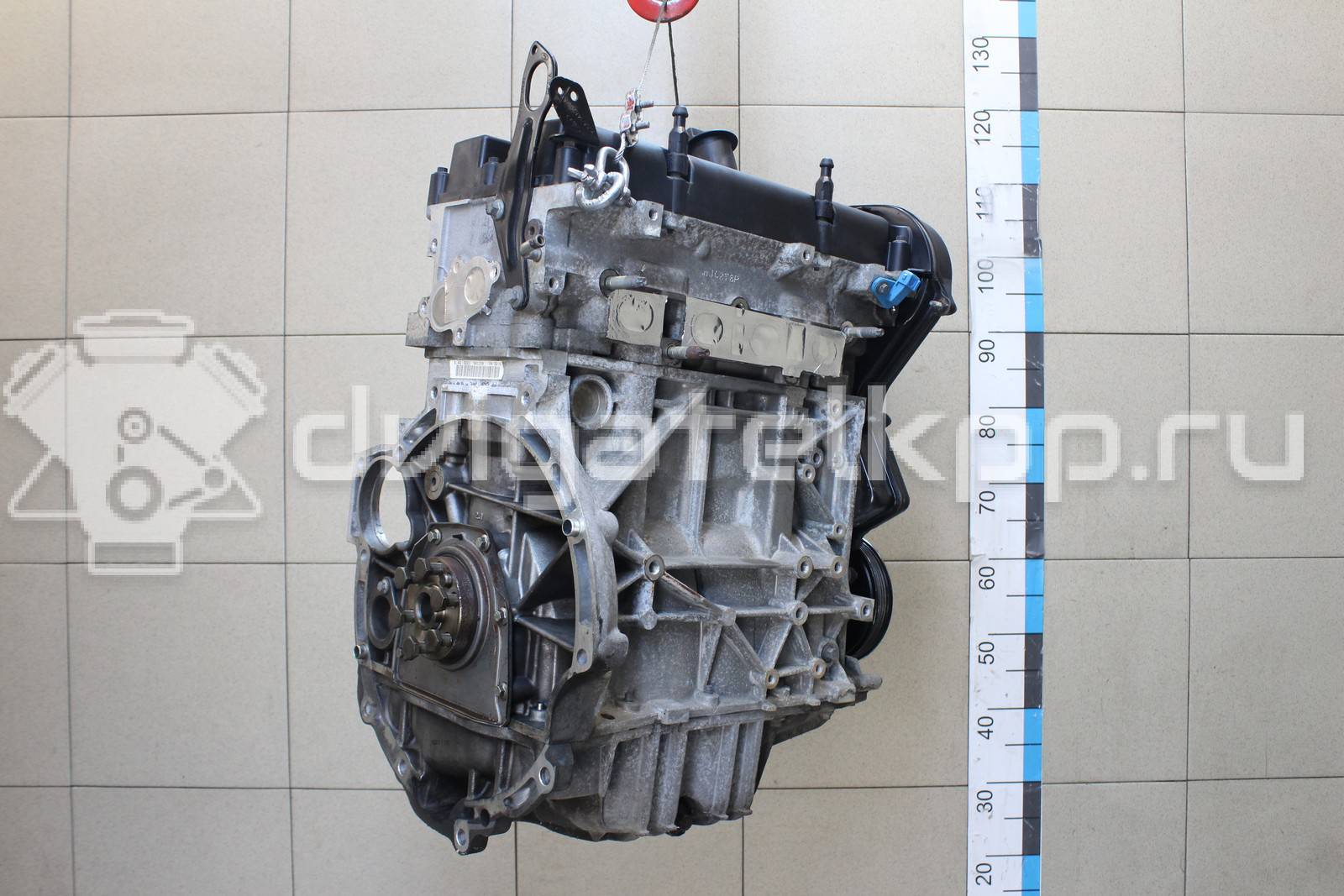 Фото Контрактный (б/у) двигатель FXJB для Ford Fiesta 80 л.с 16V 1.4 л бензин 1734722 {forloop.counter}}