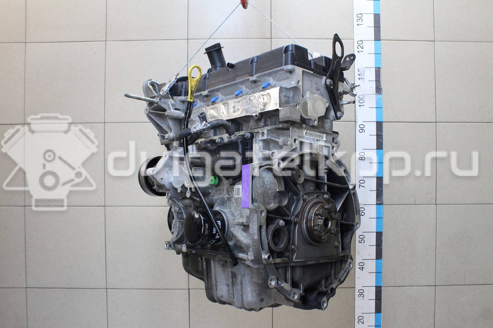 Фото Контрактный (б/у) двигатель FXJB для Ford Fiesta 80 л.с 16V 1.4 л бензин 1734722 {forloop.counter}}
