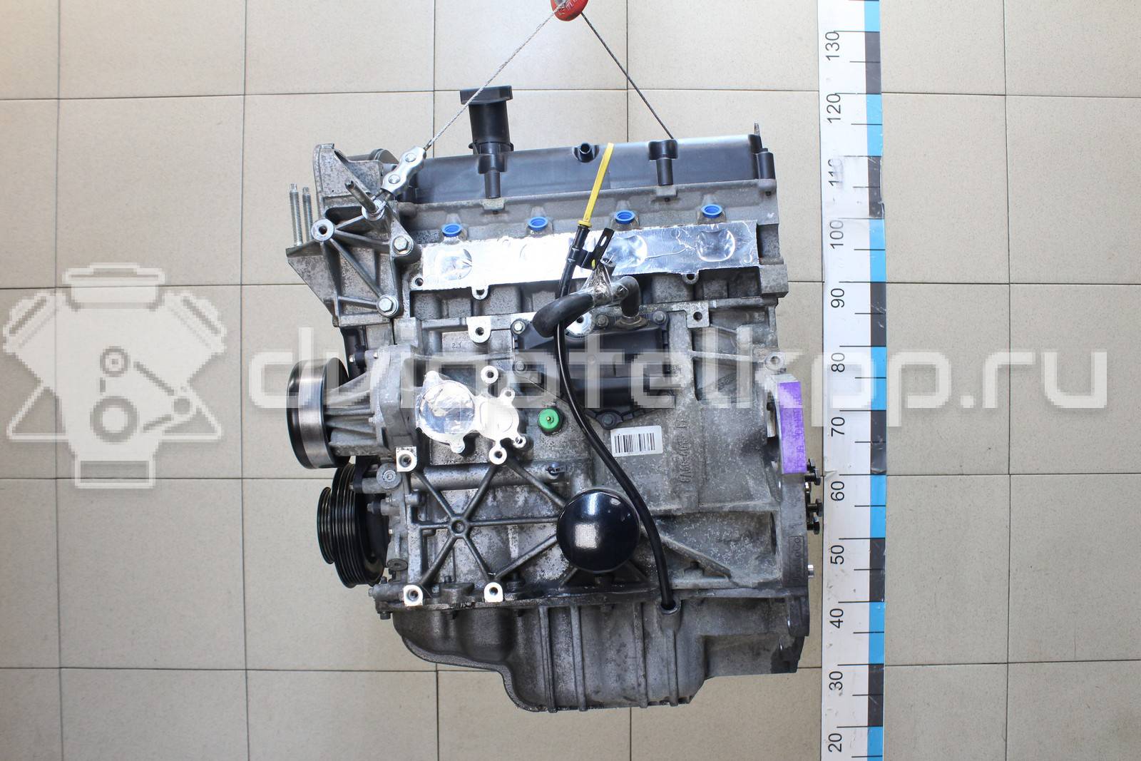 Фото Контрактный (б/у) двигатель FXJB для Ford Fiesta 80 л.с 16V 1.4 л бензин 1734722 {forloop.counter}}