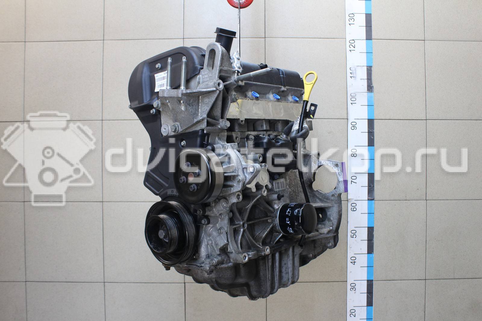 Фото Контрактный (б/у) двигатель FXJB для Ford Fiesta 80 л.с 16V 1.4 л бензин 1734722 {forloop.counter}}