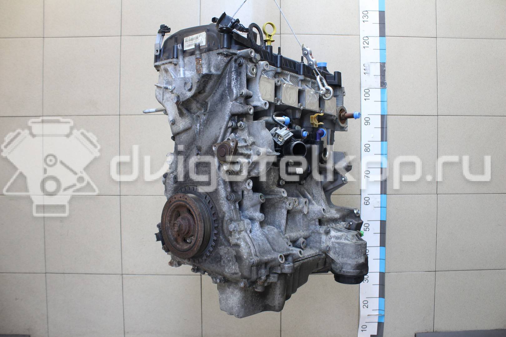 Фото Контрактный (б/у) двигатель 23 L для Land Rover / Bedford 79-80 л.с 8V 2.3 л бензин 1469080 {forloop.counter}}