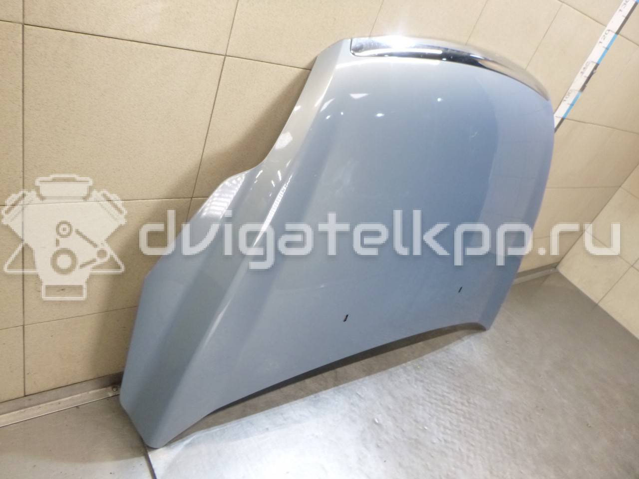 Фото Капот  1521601 для Ford Focus {forloop.counter}}