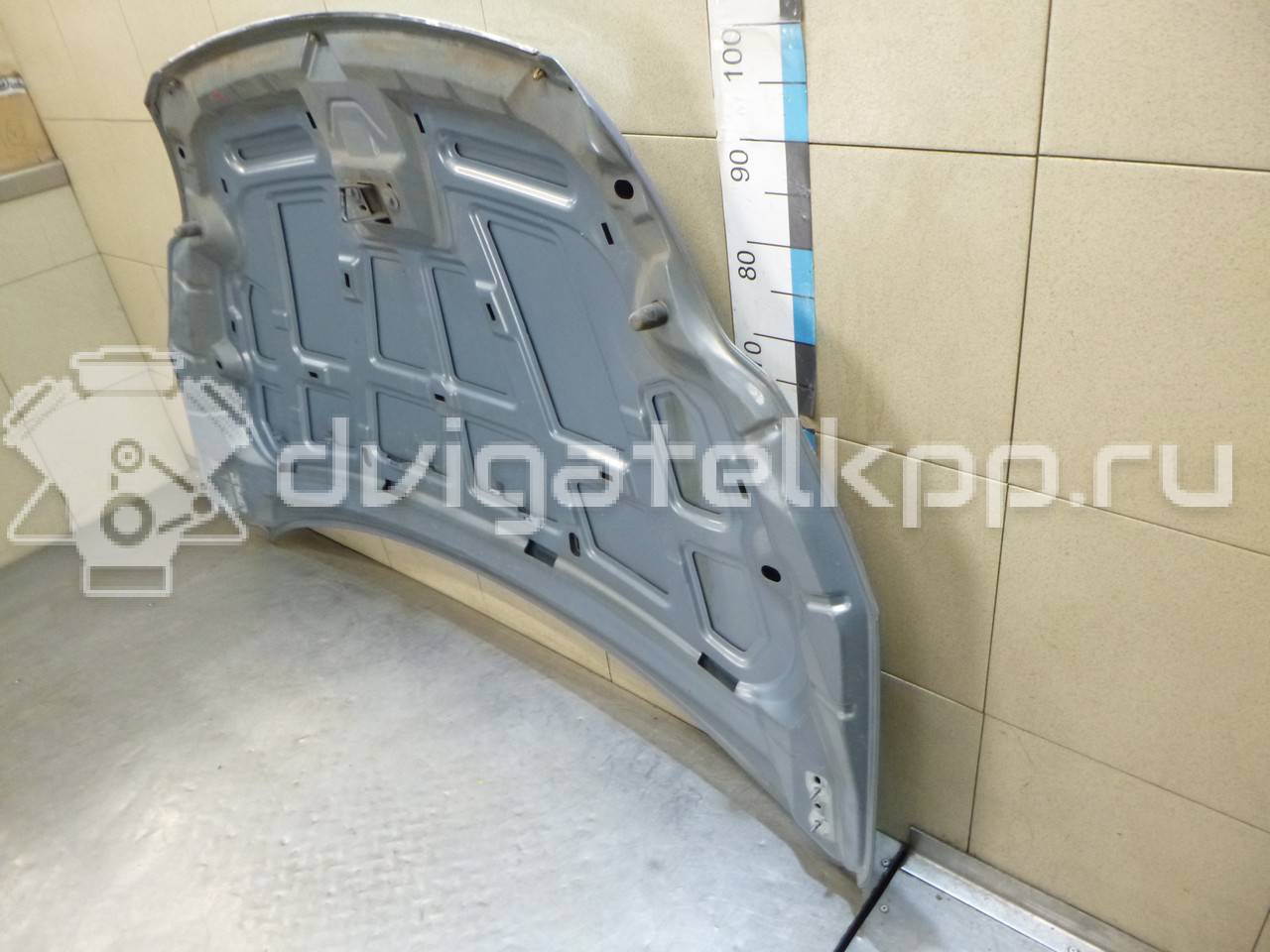 Фото Капот  1521601 для Ford Focus {forloop.counter}}