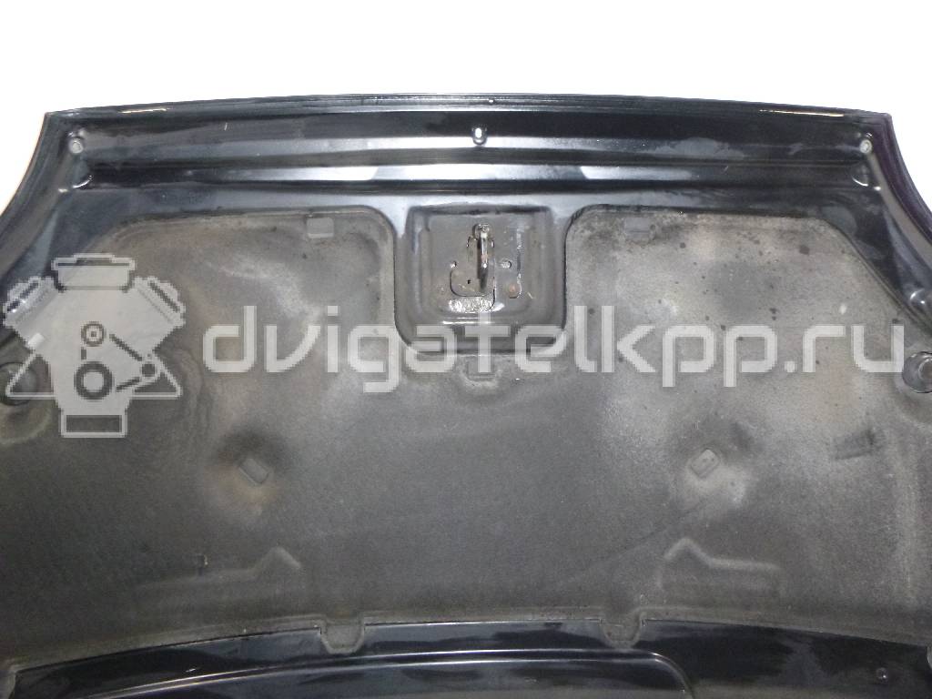 Фото Капот  1252640 для Ford Focus {forloop.counter}}