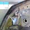 Фото Капот  F5100BA6MA для Nissan Juke F15 {forloop.counter}}