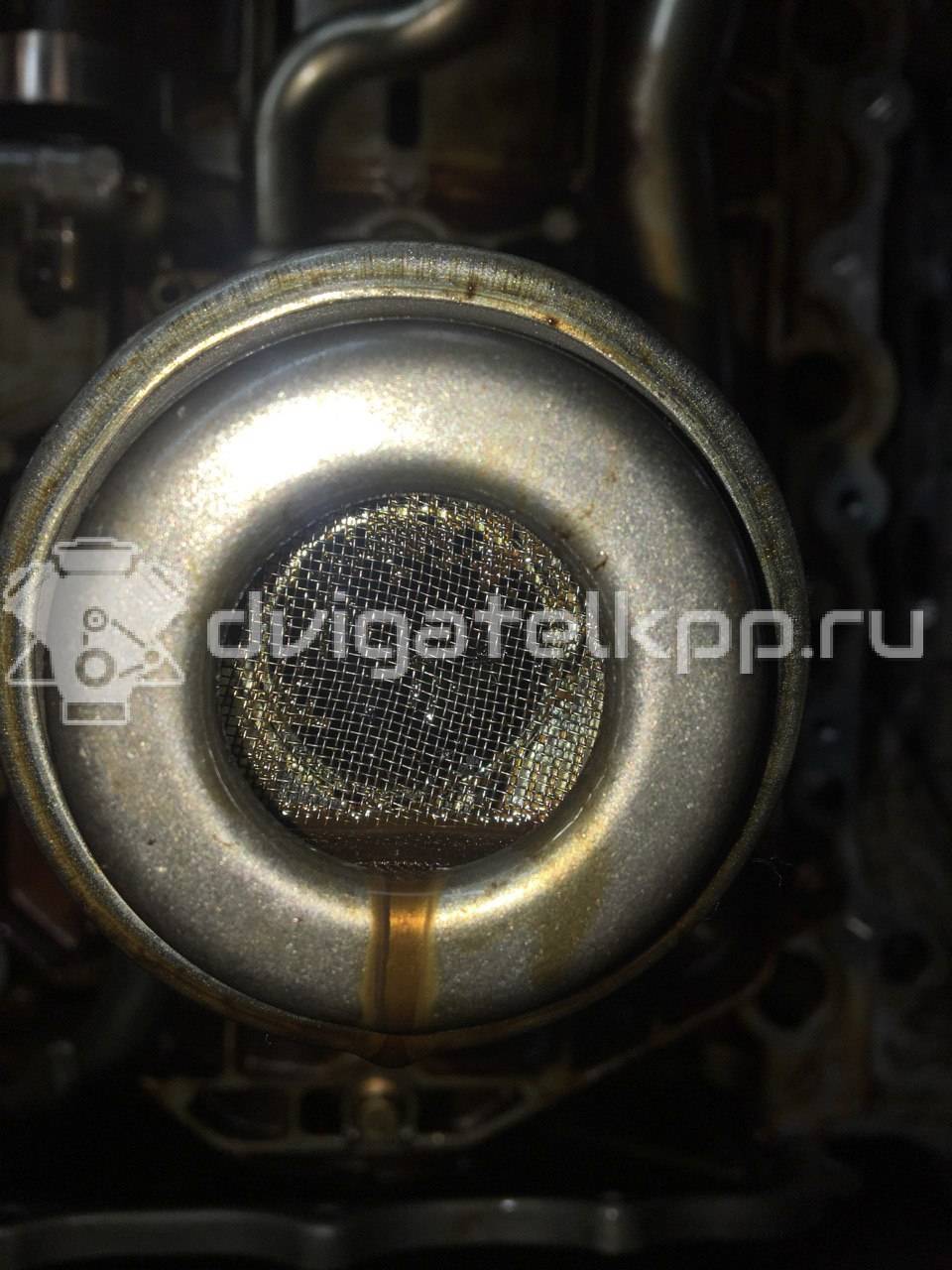 Фото Контрактный (б/у) двигатель  для land rover Range Rover III (LM)  V   LR011201 {forloop.counter}}