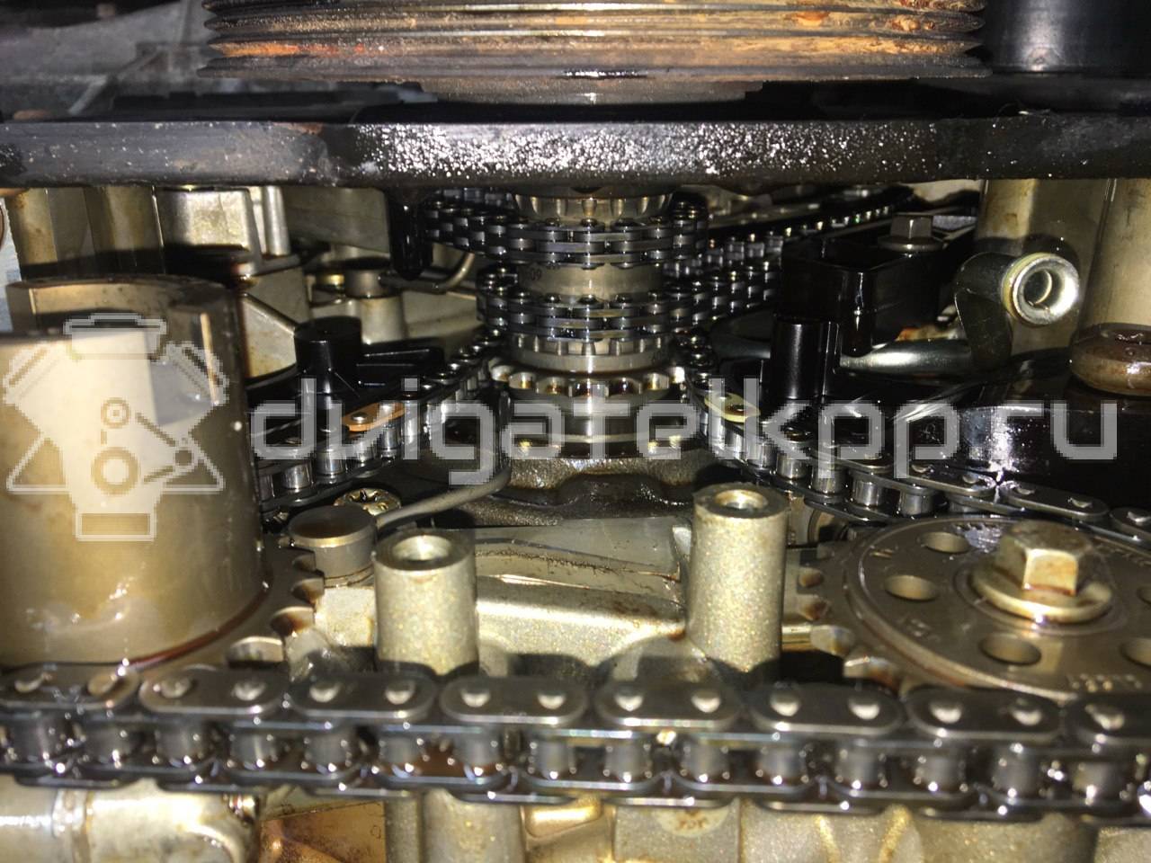 Фото Контрактный (б/у) двигатель  для land rover Range Rover III (LM)  V   LR011201 {forloop.counter}}