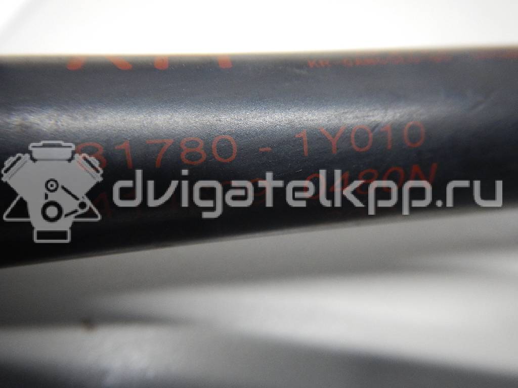 Фото Амортизатор двери багажника  817801y010 для Kia Picanto {forloop.counter}}