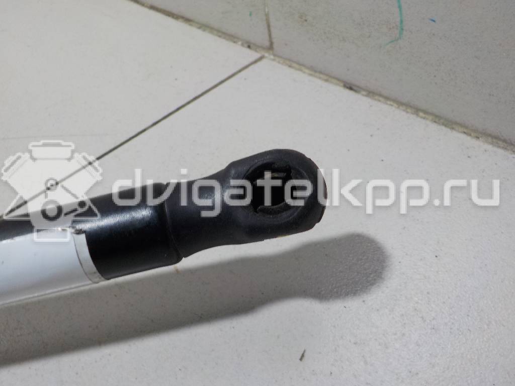 Фото Амортизатор двери багажника  4M51N406A10AB для Ford Focus / Sierra {forloop.counter}}