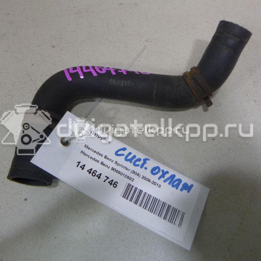 Фото Патрубок  9065010682 для mercedes benz Sprinter (906)