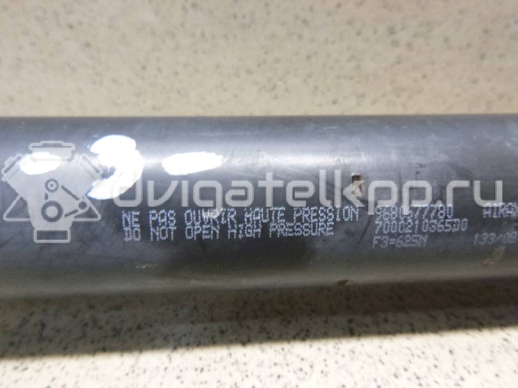 Фото Амортизатор двери багажника  8731r9 для Citroen Berlingo / Visa {forloop.counter}}