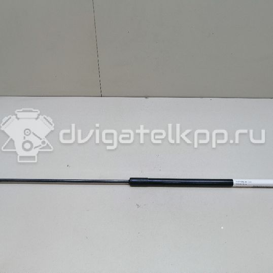 Фото Амортизатор капота  8T0823359 для Audi A5 / A4