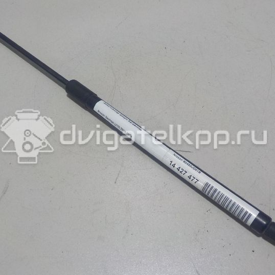 Фото Амортизатор двери багажника  90450jd01b для Nissan Qashqai