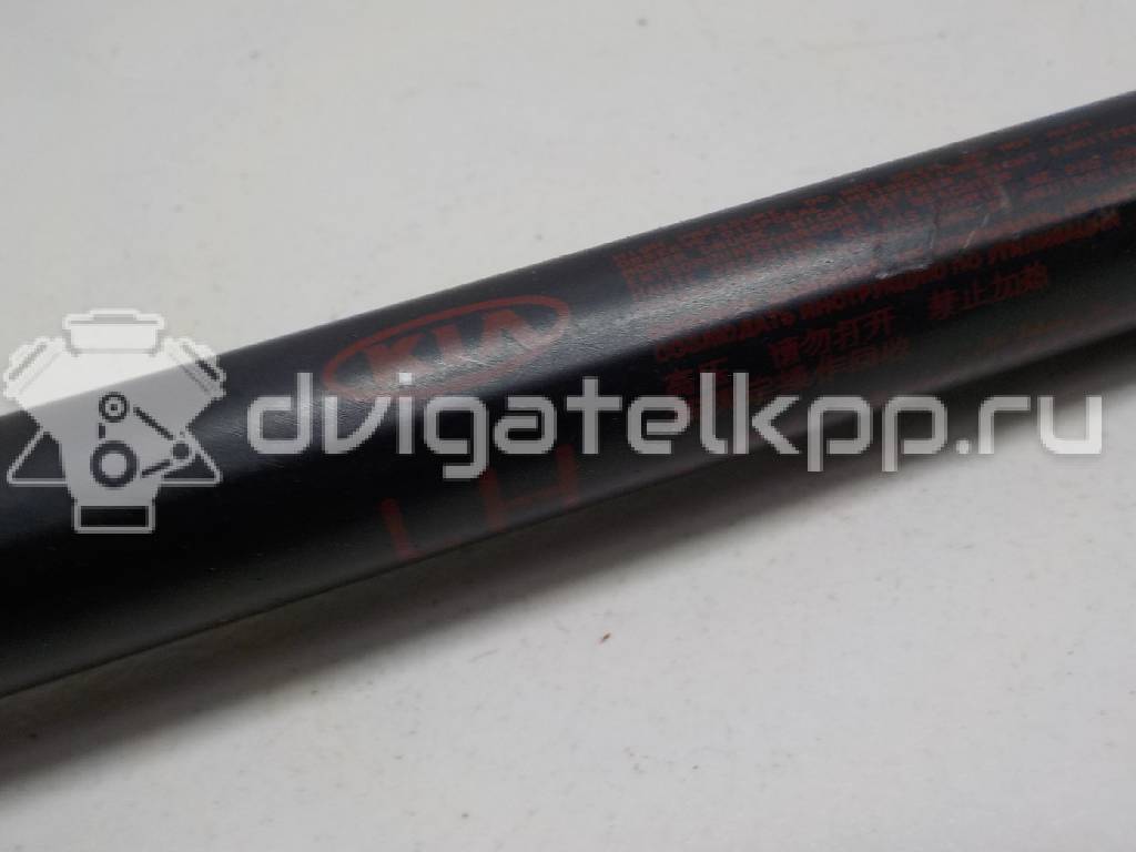 Фото Амортизатор двери багажника  817701y010 для Kia Picanto {forloop.counter}}