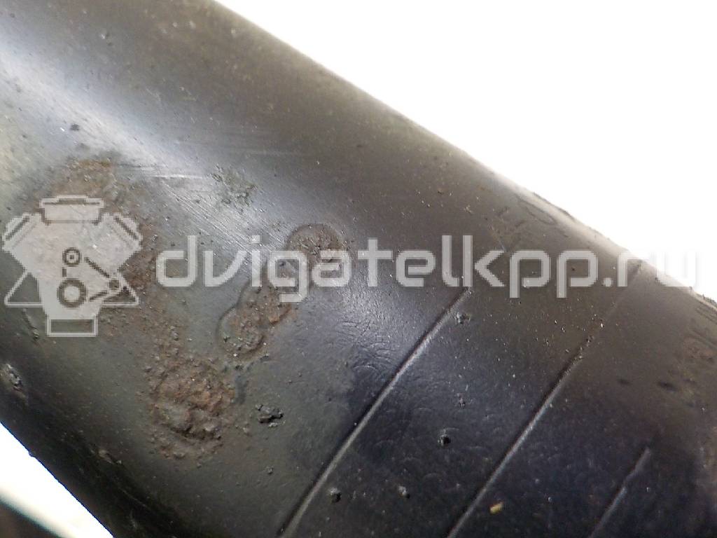 Фото Амортизатор задний  4f0513032h для Audi A6 {forloop.counter}}