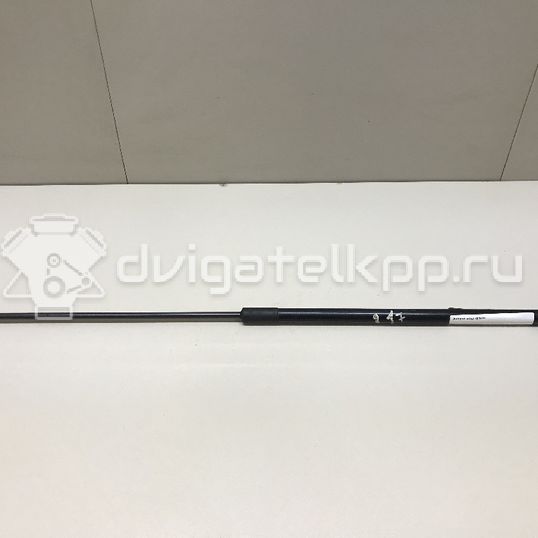 Фото Амортизатор капота  8T0823359 для Audi A5 / A4