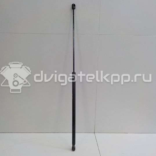 Фото Амортизатор капота  8T0823359 для Audi A5 / A4