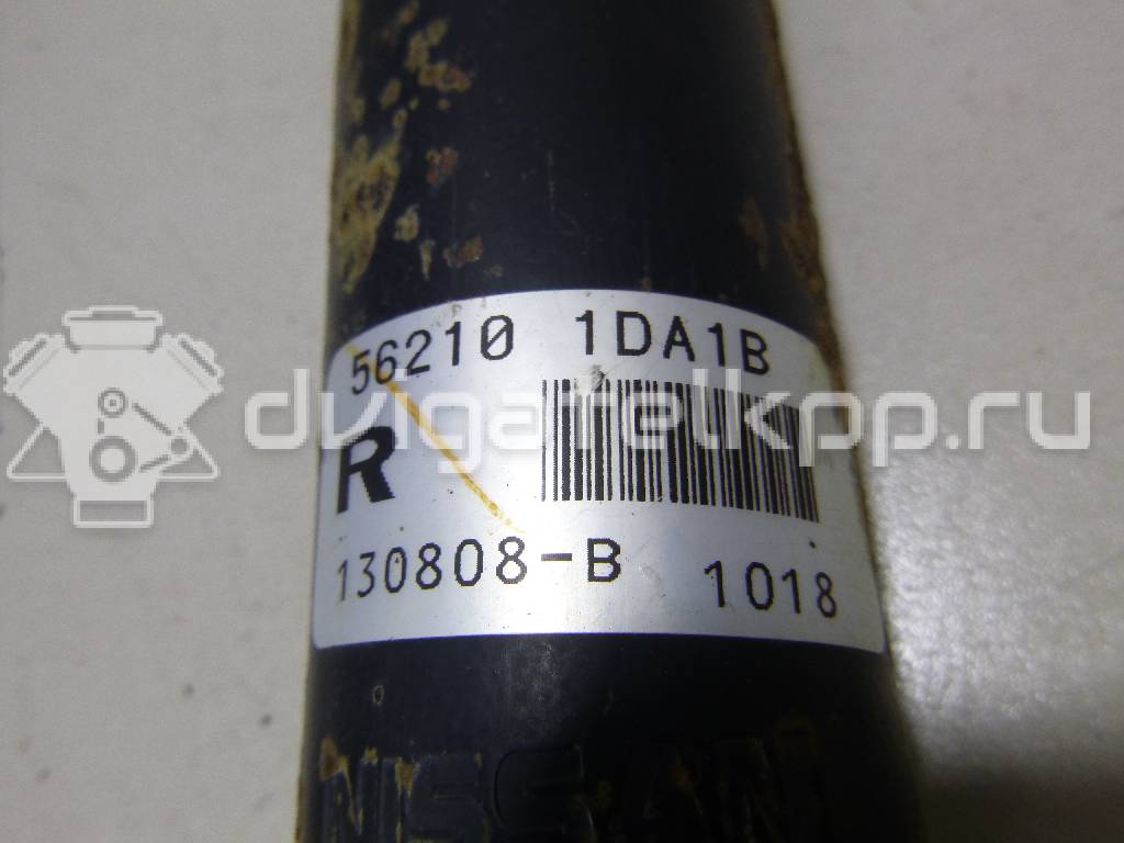 Фото Амортизатор задний  562101DA1B для renault Koleos (HY) {forloop.counter}}