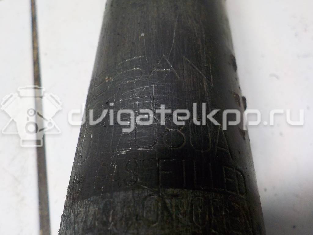 Фото Амортизатор задний  e6210ec80a для Nissan Tiida {forloop.counter}}