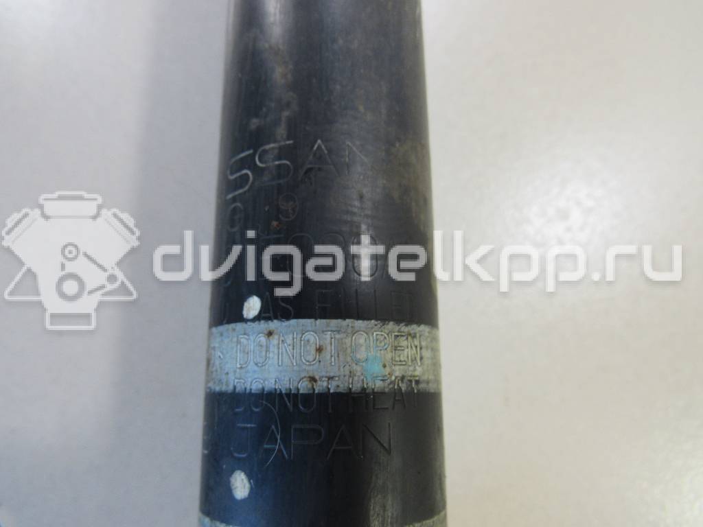 Фото Амортизатор задний  e6210ec80a для Nissan Tiida {forloop.counter}}