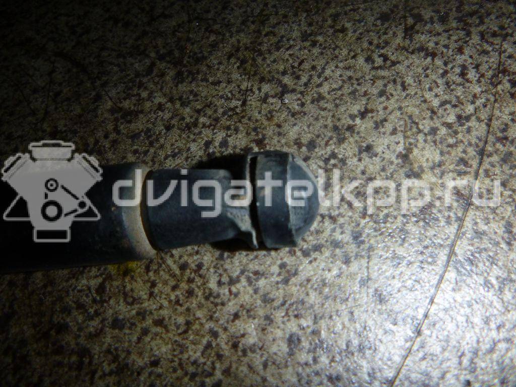 Фото Амортизатор двери багажника  90450jd01b для Nissan Qashqai {forloop.counter}}