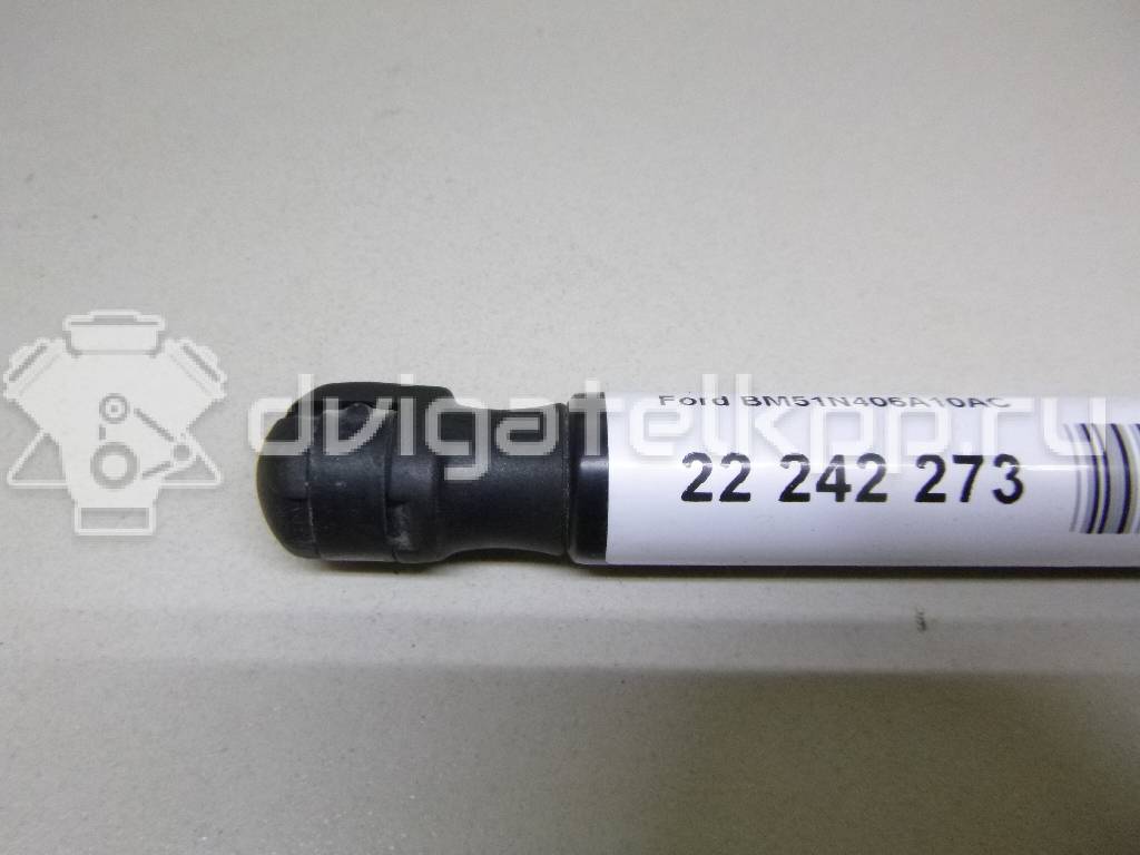 Фото Амортизатор двери багажника  BM51N406A10AC для Ford Focus {forloop.counter}}