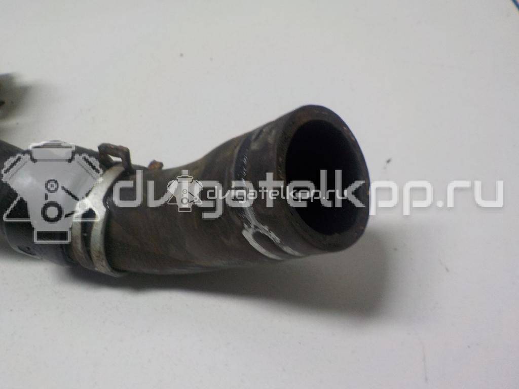 Фото Трубка системы охлаждения  1351CL для Peugeot 206 {forloop.counter}}