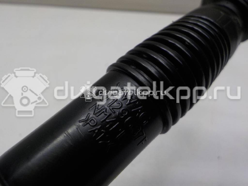 Фото Патрубок воздушного фильтра  5N0129637F для seat Alhambra {forloop.counter}}