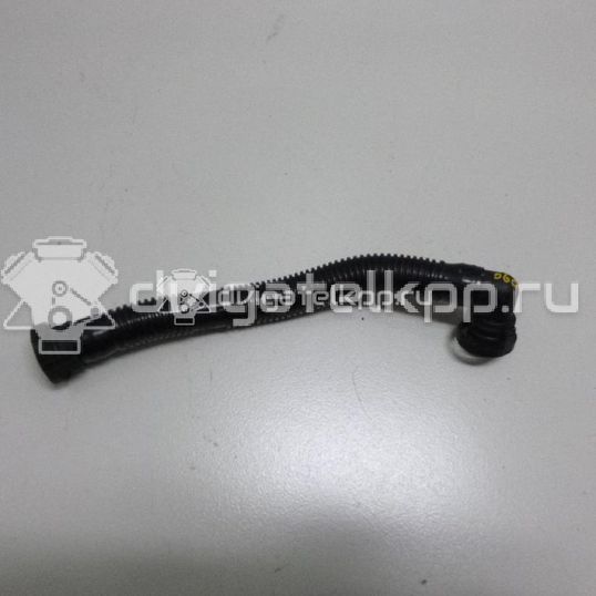 Фото Шланг воздушный  06a131127l для audi A3 (8L1)