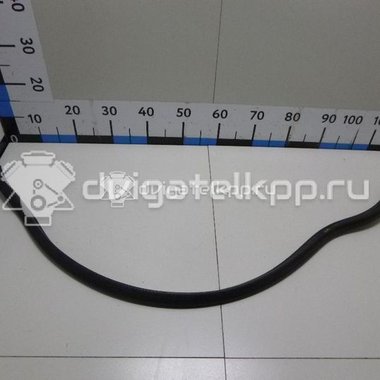 Фото Уплотнитель капота  1Z0823723A для skoda Octavia (A5 1Z-)