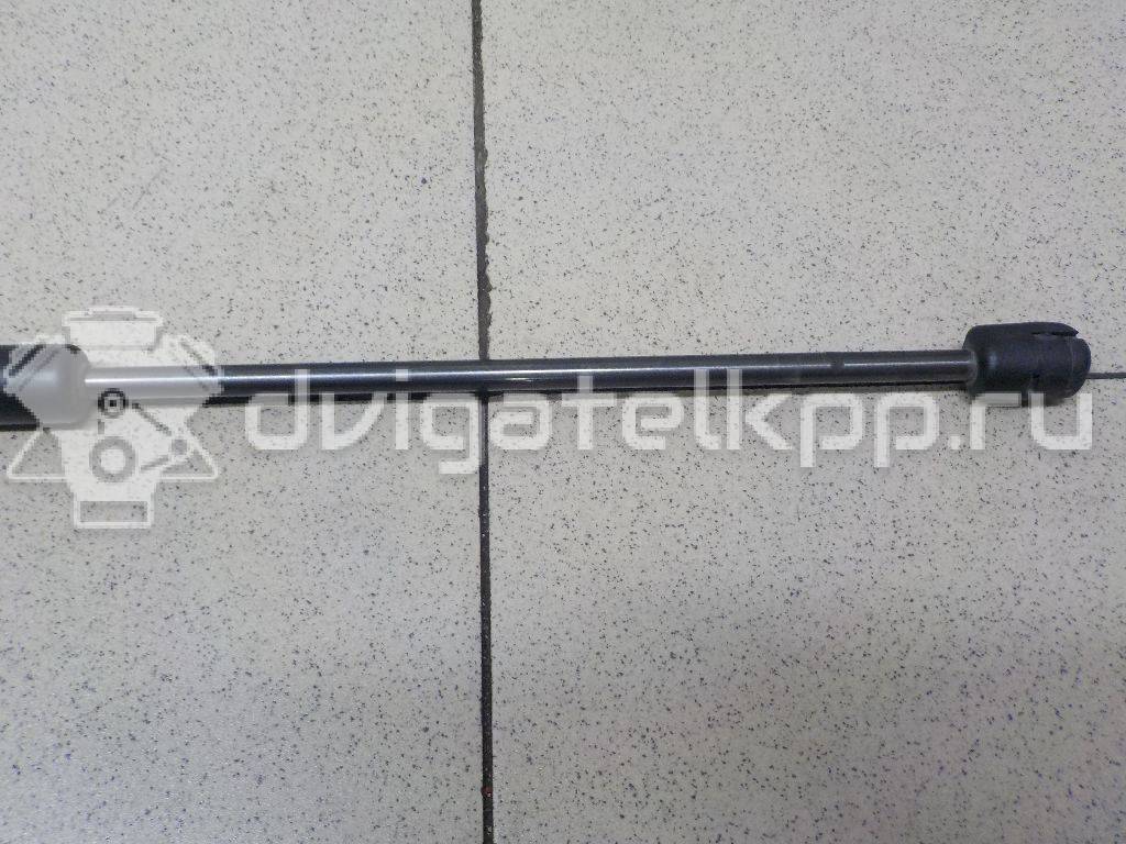 Фото Амортизатор двери багажника  8200735264 для Renault Sandero Stepway / Logan {forloop.counter}}