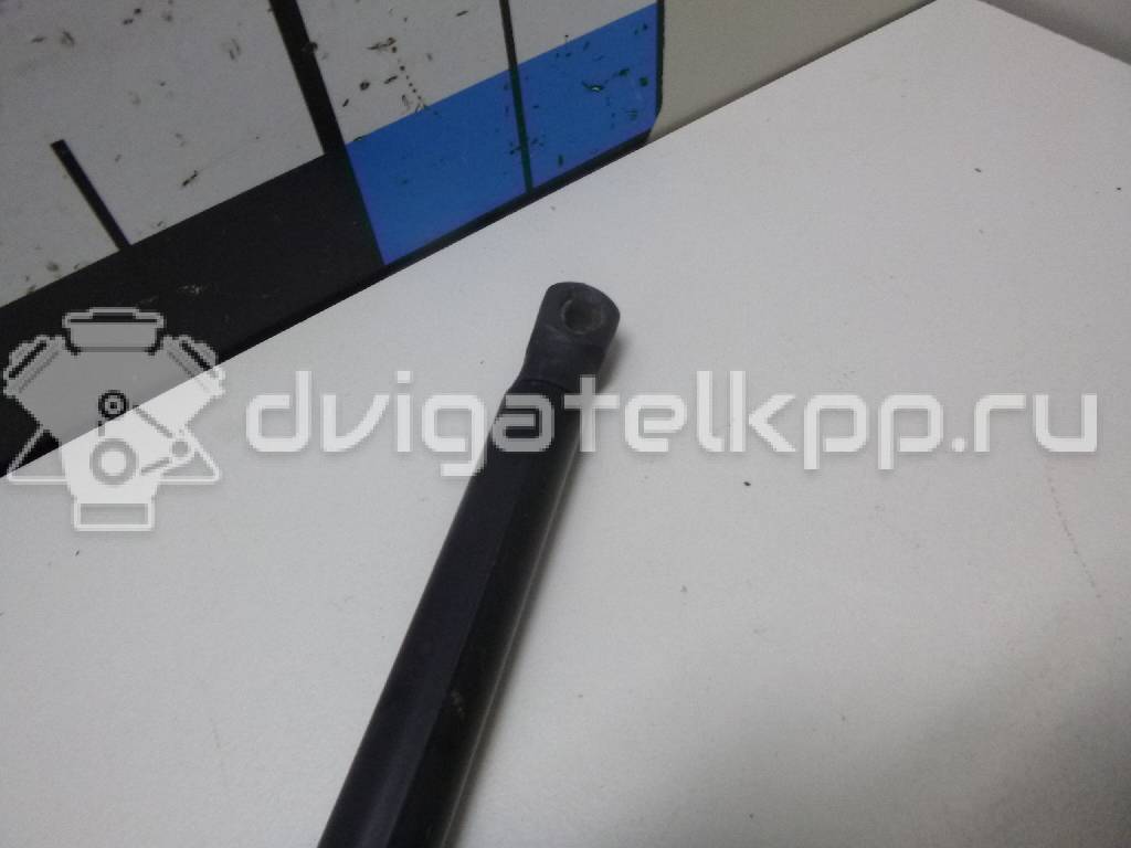 Фото Амортизатор двери багажника  8200735264 для Renault Sandero Stepway / Logan {forloop.counter}}