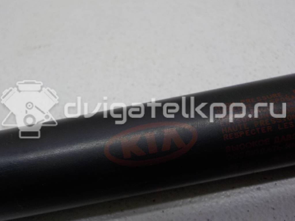Фото Амортизатор двери багажника  817701y010 для Kia Picanto {forloop.counter}}