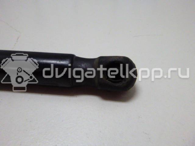 Фото Амортизатор двери багажника  bm51n406a10ad для Ford Focus {forloop.counter}}