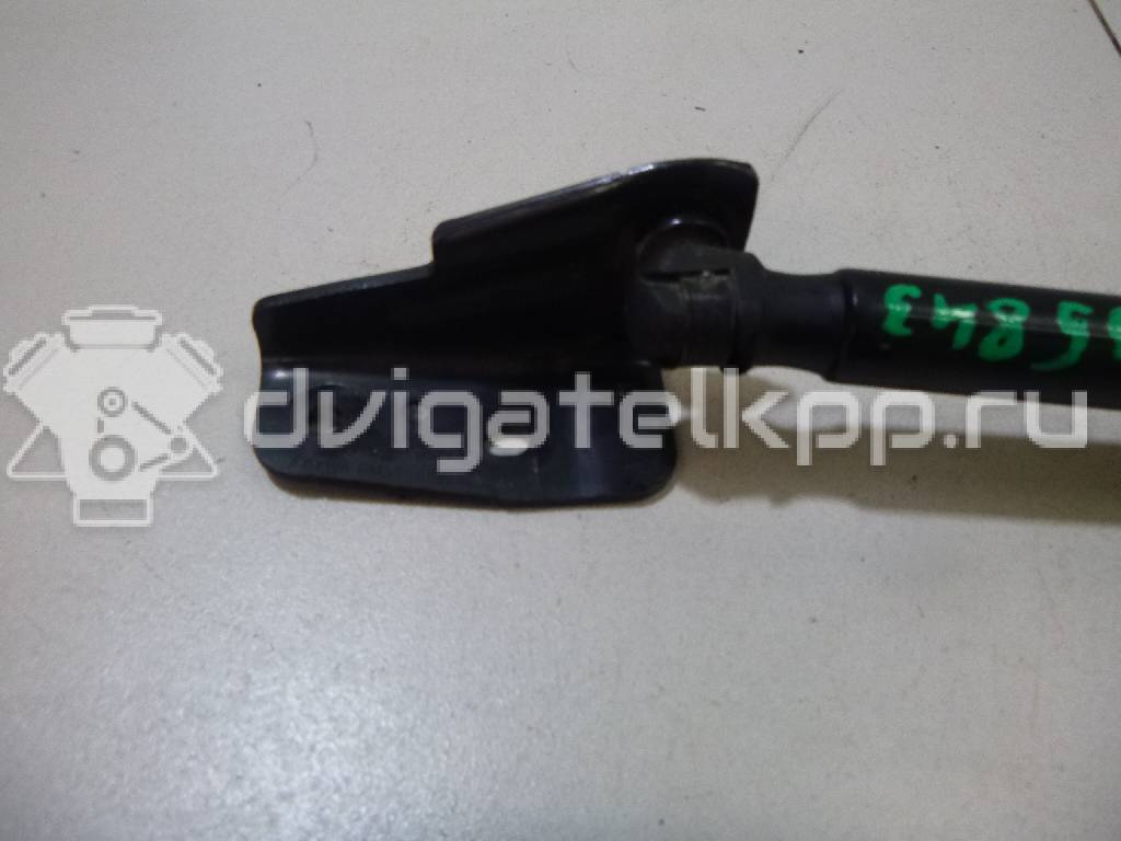 Фото Амортизатор двери багажника  bm51a406a10ae для Ford Focus {forloop.counter}}