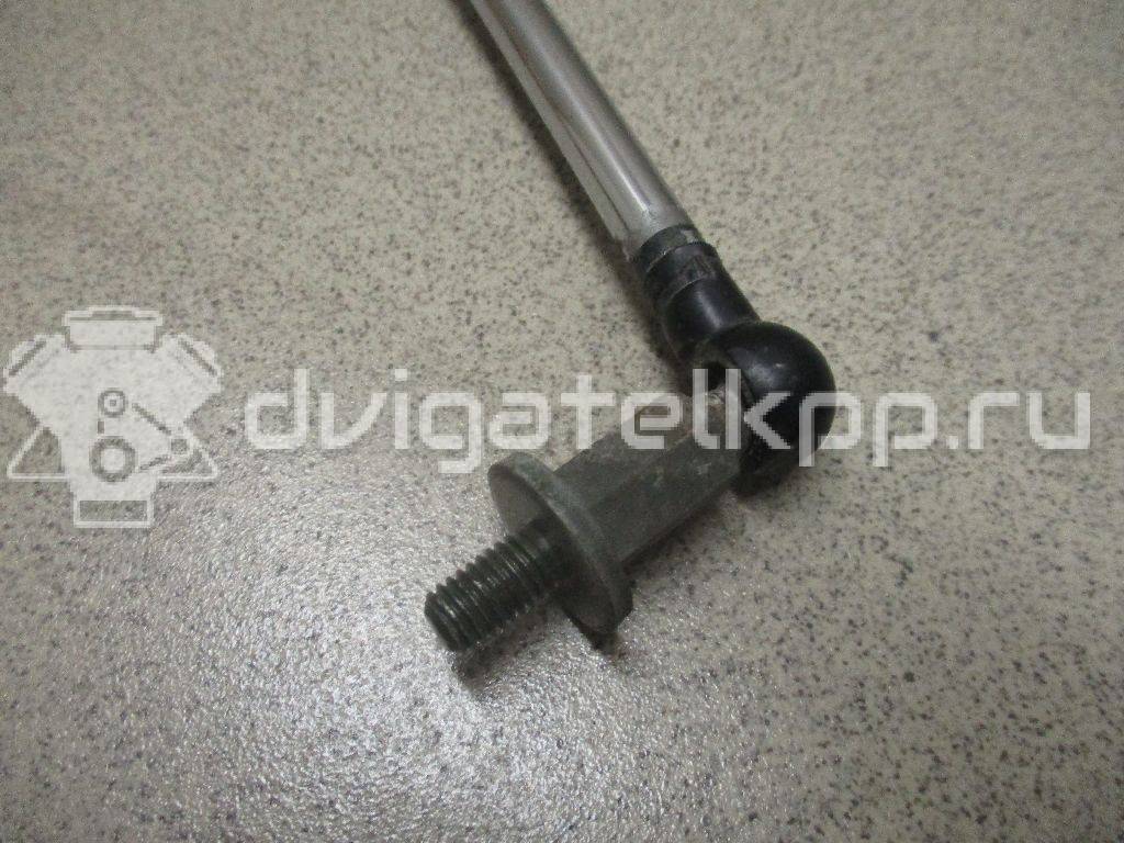 Фото Амортизатор двери багажника  mn145655 для Mitsubishi Grandis Na W {forloop.counter}}