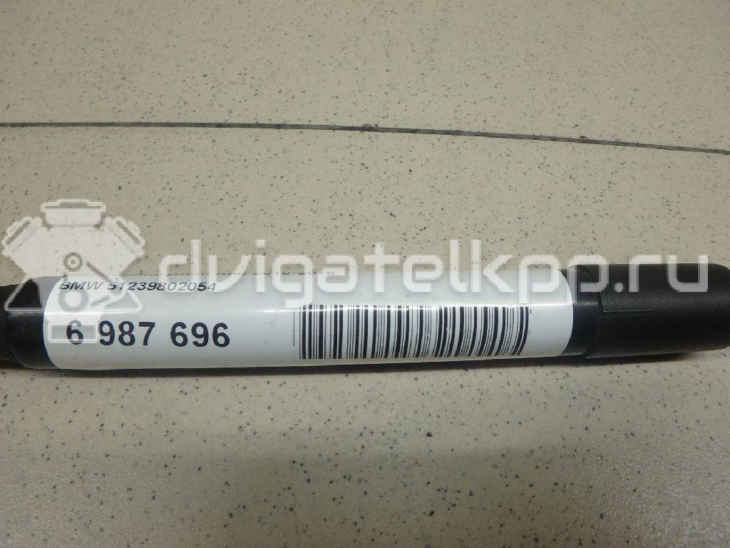 Фото Амортизатор капота  51239802054 для Mini Mini {forloop.counter}}